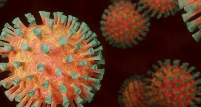 ES tem mais 24 mortes e 1.613 casos de Covid-19 em 24 horas; BSF teve sete casos