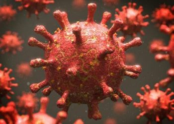 BSF tem mais 10 casos novos e um óbito pela Covid-19; Em todo o ES já são 5.656 mortes