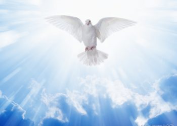 Ignorância ignorada!