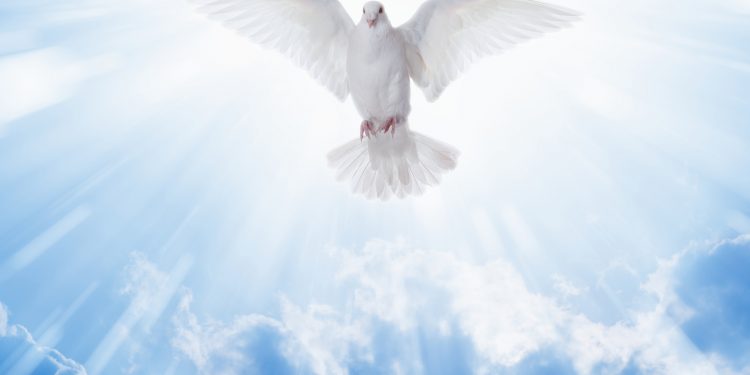 Ignorância ignorada!