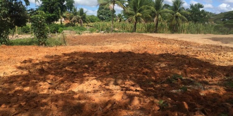 Novo Hortão Municipal será no Polo Industrial