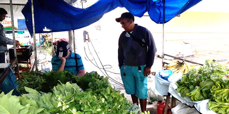 Agricultura familiar responde por mais de 80% da produção de alimentos no ES