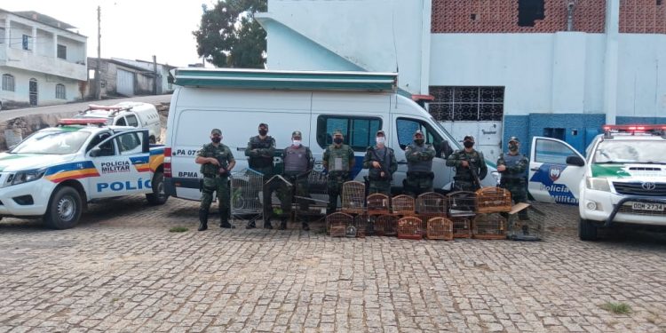 DPA e Defesa Social preparam ofensiva contra pesca predatória e captura de animais silvestres na região