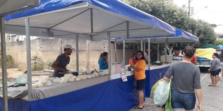 Espírito Santo tem mais de 360 agroindústrias produtoras de queijo de vários tipos