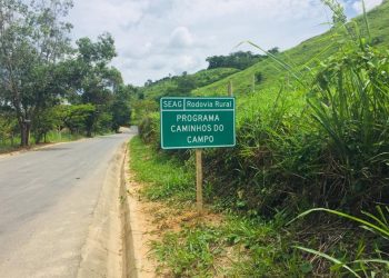 Gado estava sendo dessedentado com água da Cesan no interior do município