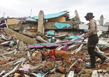 Chuvas torrenciais dificultam busca por sobreviventes do terremoto na Indonésia