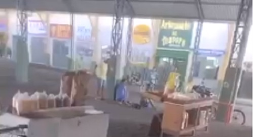 Desumano: Homem mata cachorro a pauladas no Mercado Municipal de Montanha; veja vídeo Desumano: Homem mata cachorro a pauladas no Mercado Municipal de Montanha; veja vídeo