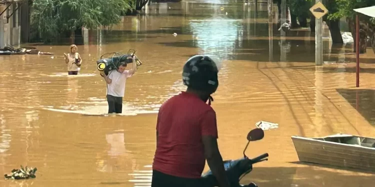 Nível do rio Doce cai lentamente em GV e continua subindo em Linhares e Colatina Nível do rio Doce cai lentamente em GV e continua subindo em Linhares e Colatina