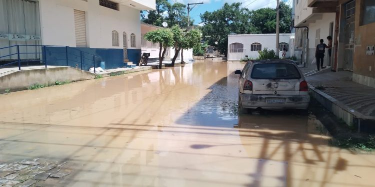 Águas do São Francisco saem do leito e atingem parte do Campo Novo e Rua Mineira; veja fotos Águas do São Francisco saem do leito e atingem parte do Campo Novo e Rua Mineira; veja fotos