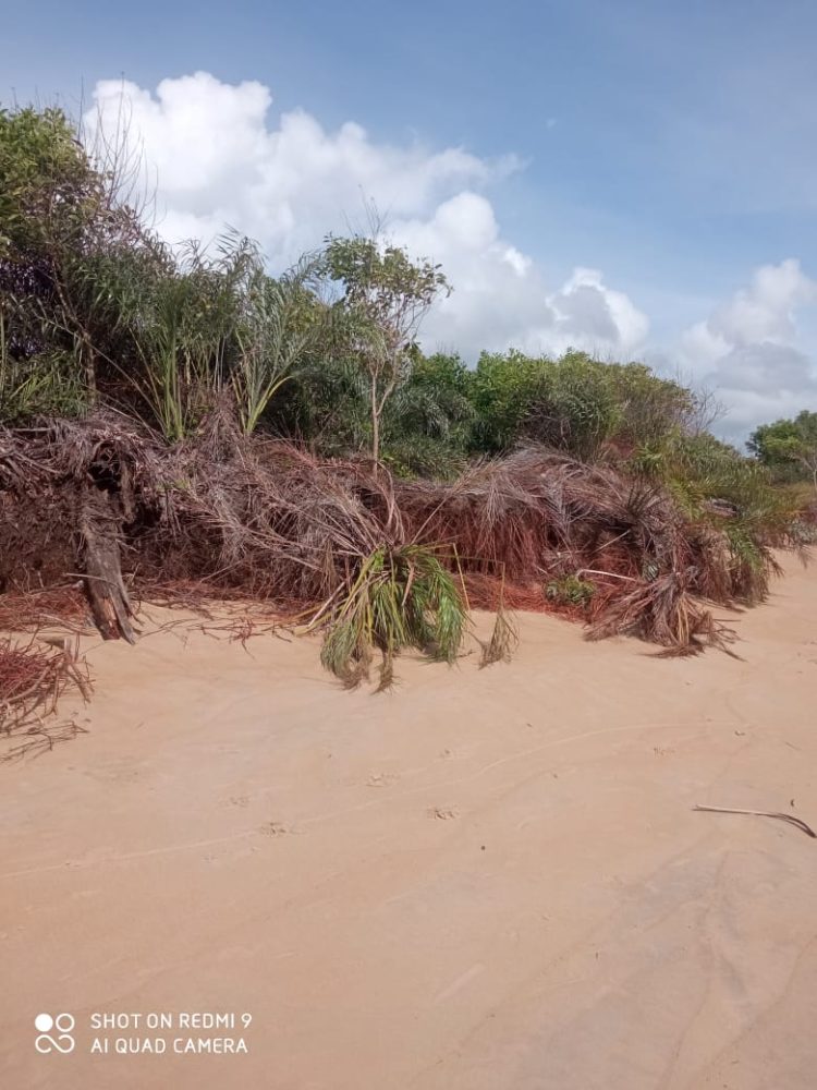 Ação do mar continua e pode destruir Barra Nova, em São Mateus, diz ambientalista