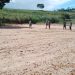 Clube Rei Pelé vai ganhar complexo esportivo de areia, informa Grasiele Clube Rei Pelé vai ganhar complexo esportivo de areia, informa Grasiele