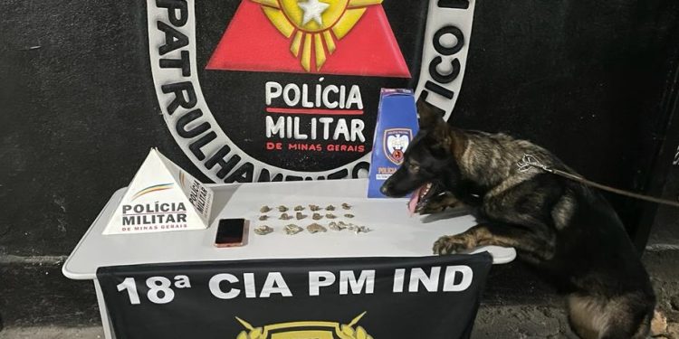 Polícia Militar prende traficante com 20 buchas de maconha em Mantena
