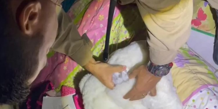PM apreende barra de maconha e cocaína em urso de pelúcia com um traficante em Itabirinha