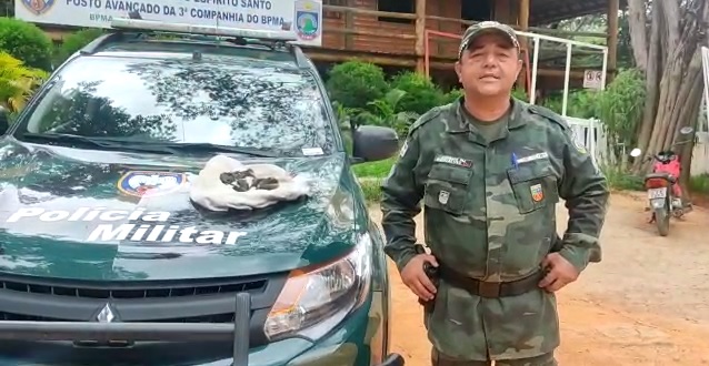 Polícia ambiental resgata ninhada de gambás no córrego Boa Vista, distrito de Paulista; veja vídeo Polícia ambiental resgata ninhada de gambás no córrego Boa Vista, distrito de Paulista; veja vídeo