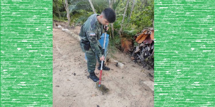 Polícia Militar Ambiental resgata Porco-espinho no Córrego do Recreio Polícia Militar Ambiental resgata Porco-espinho no Córrego do Recreio
