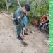 Polícia Militar Ambiental resgata  Porco-espinho no Córrego do Recreio