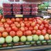 Preço do tomate vai a R$ 11,90 e assusta consumidor de Barra de São Francisco Preço do tomate vai a R$ 11,90 e assusta consumidor de Barra de São Francisco