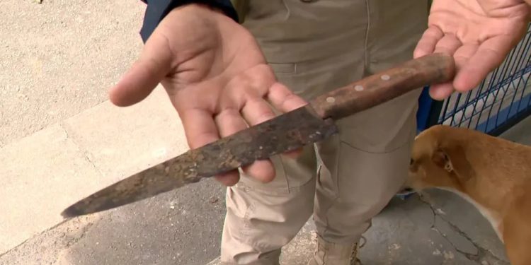 Menino encontrado perdido com faca na mão na BR-101 em Serra é entregue a uma tia