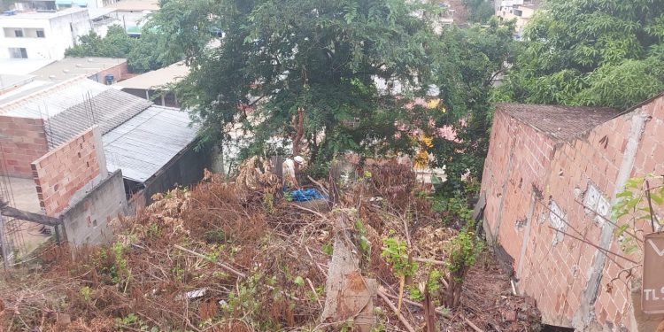 Combate à dengue: inscrições ao processo seletivo para contratar braçais termina nesta sexta, 23 Combate à dengue: inscrições ao processo seletivo para contratar braçais termina nesta sexta, 23