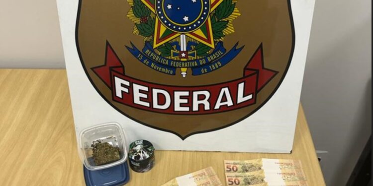 PF cumpre mandado de busca contra agente de migração ilegal para os EUA em Barra de São Francisco