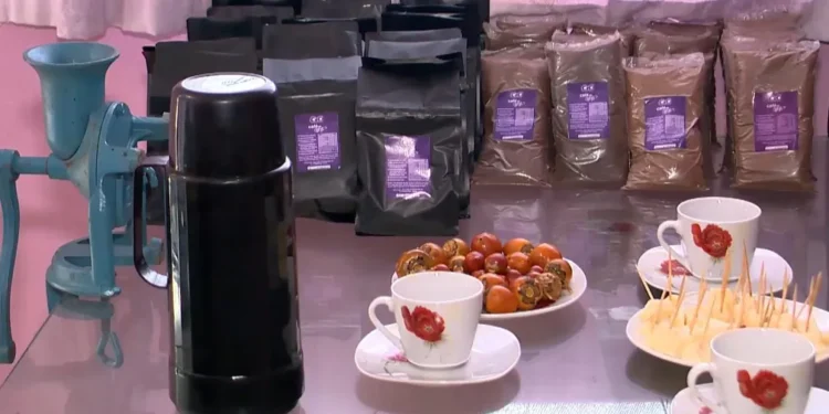 Café de açaí ganha destaque no ES com produção de família de Viana Café de açaí ganha destaque no ES com produção de família de Viana