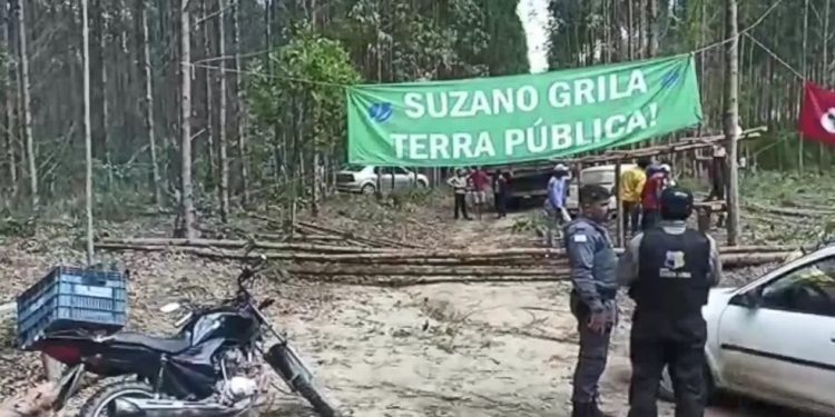 MST invade propriedade da Suzano em Aracruz, mas Justiça determina reintegração de posse na mesma noite