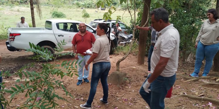Morre pecuarista que contraiu raiva em Mantena (MG) Morre pecuarista que contraiu raiva em Mantena (MG)
