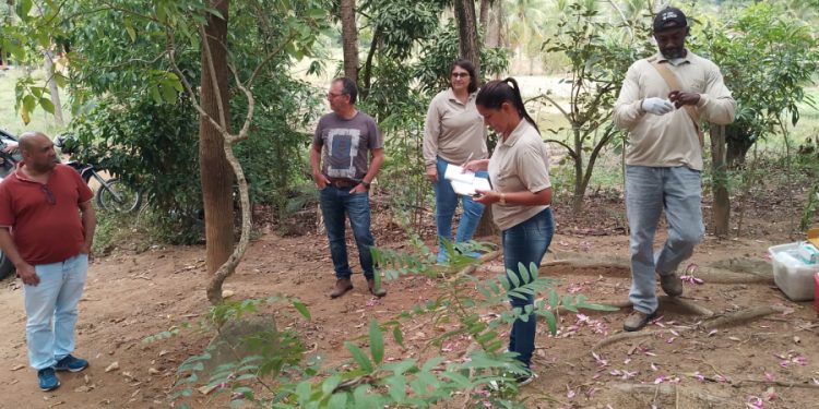 Semus inicia vacinação de bloqueio contra a raiva na divisa MG/ES