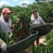 Espírito Santo gera mais de 31 mil empregos novos em sete meses Espírito Santo gera mais de 31 mil empregos novos em sete meses