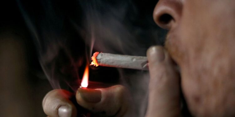 Tabagismo: Campanha da OMS associa  falta de comida à produção de tabaco