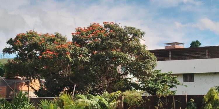 Conversa com a condenada