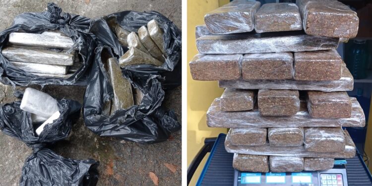 PRF apreende cerca de 30 kg de maconha e 3 kg de pasta base de cocaína na BR-101, em Itapemirim