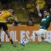 Palmeiras vence o Barcelona e dá passo importante para a classificação às oitavas da Libertadores Palmeiras vence o Barcelona e dá passo importante para a classificação às oitavas da Libertadores