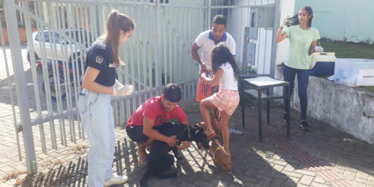 Raiva: Vigilância Ambiental em Saúde vacinou 2.437 cães e gatos desde 24 de abril Raiva: Vigilância Ambiental em Saúde vacinou 2.437 cães e gatos desde 24 de abril