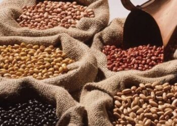 Agricultura familiar divide com o agronegócio o protagonismo pelo crescimento do PIB brasileiro