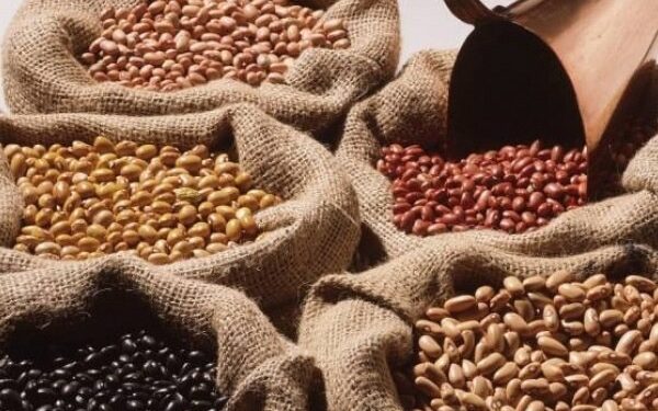 Agricultura familiar divide com o agronegócio o protagonismo pelo crescimento do PIB brasileiro