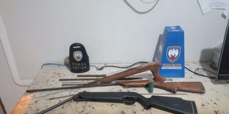 Polícia resgata pássaros e apreende armas no bairro Palhinha, em Montanha