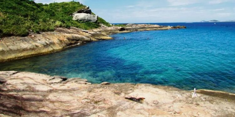 Gripe aviária: Espírito Santo proíbe turistas em várias ilhas de Vitória