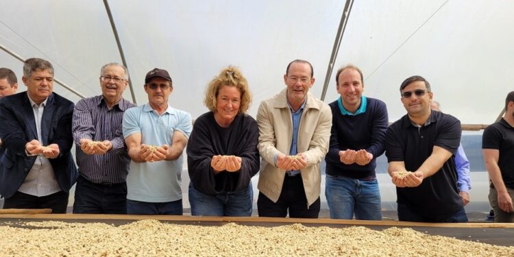 Cafeicultura: Comitiva internacional encerra visita ao Espírito Santo