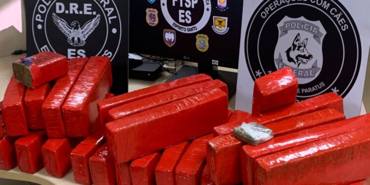 Operação policial apreende mais  de 30 kg de maconha que chegaram  ao Espírito Santo pelos Correios