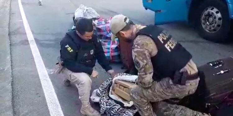 Operação da PRF em Guarapari apreende quase 45 kg de maconha e 2 de pasta base de cocaína em 2 ônibus