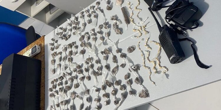 Policiais apreendem cerca 350 unidades de maconha e crack em Vila Valério