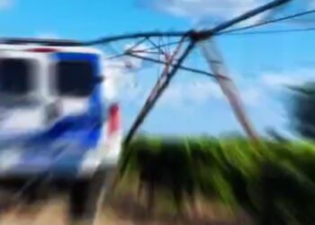 Noroeste: violência como fator de risco ao desenvolvimento e estratégias para seu controle