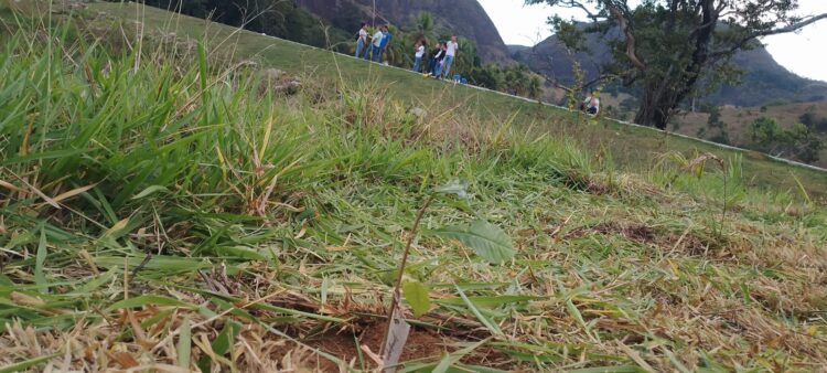 Contek e Semas plantam 535 mudas de  essências nativas na Barragem Everaldo Bianquini