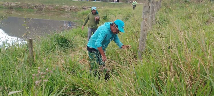 Contek e Semas plantam 535 mudas de  essências nativas na Barragem Everaldo Bianquini