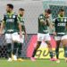 Brasileirão: Botafogo vence o Palmeiras e chega a 30 pontos Brasileirão: Botafogo vence o Palmeiras e chega a 30 pontos