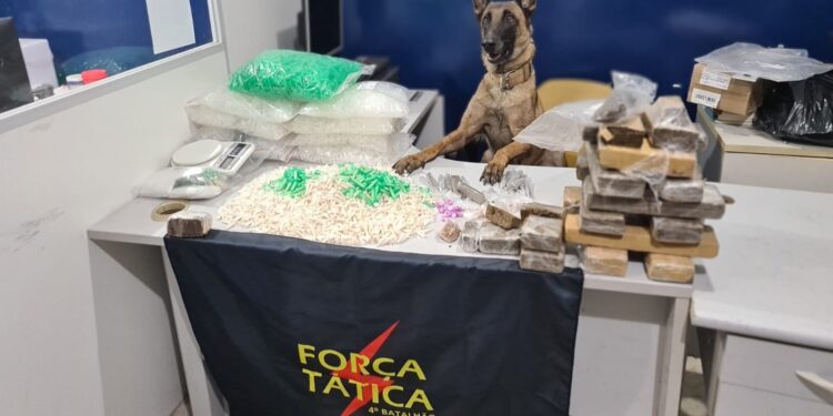 K9 do 4º BPM apreende mais de 3 mil pinos de cocaína escondidos em caixa d’água em Vila Velha