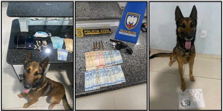 Operação policial em São Gabriel da Palha prende 6 com armas, drogas e dinheiro
