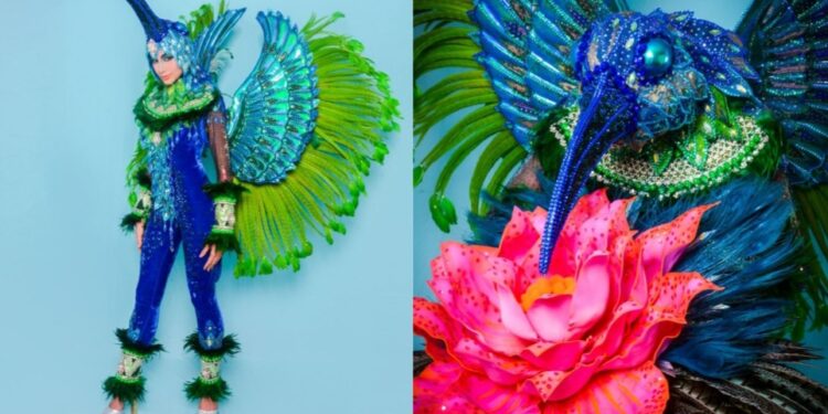 Capixaba leva a periferia à passarela do Miss Brasil e brilha com traje típico do colibri