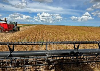 Novidade no Estado, produtor de soja dobra a aposta: “O Norte será o Mato Grosso do Espírito Santo”